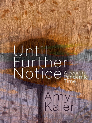 Until Further Notice - ebook